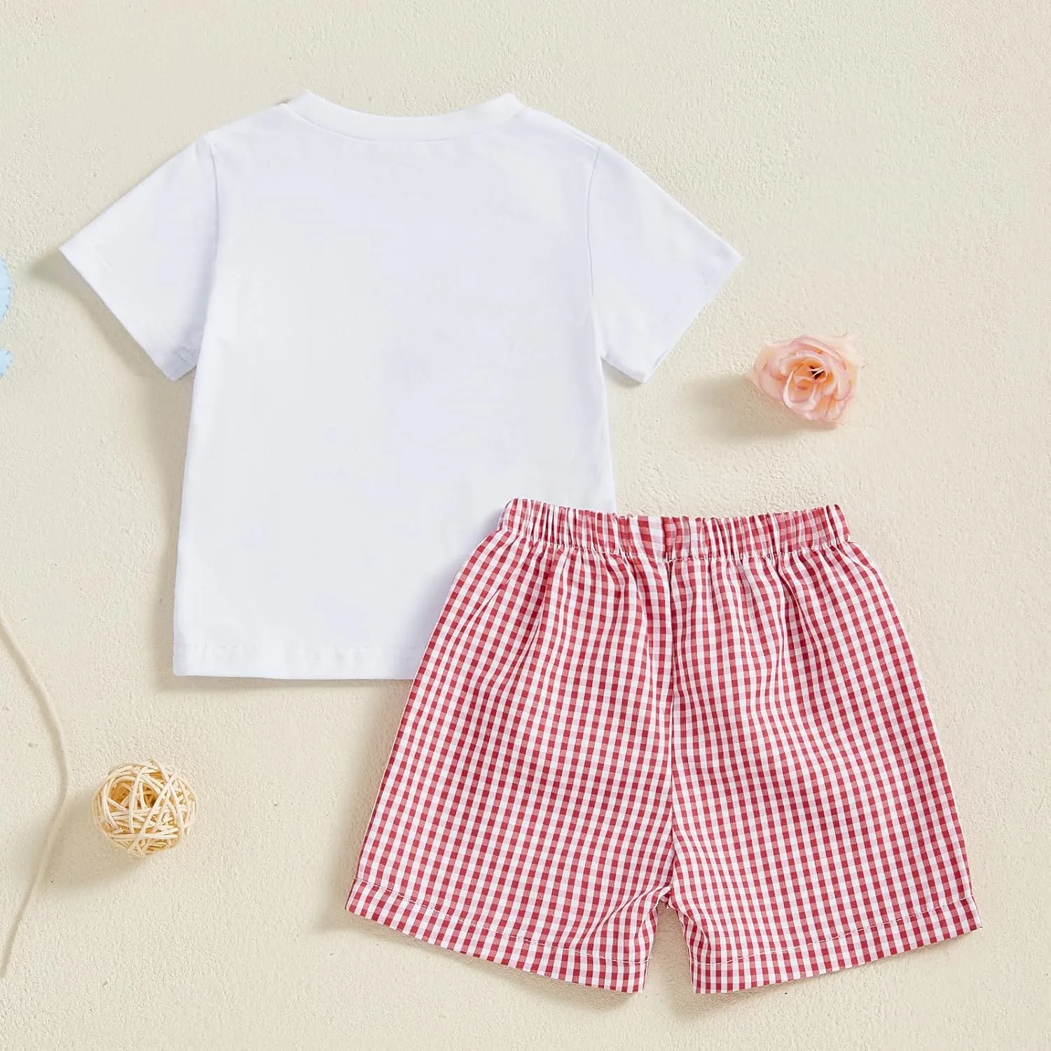 Toddler Baby Boy Birthday Outfit Letter Animals Balloon Embroidery Short Sleeve T-Shirt and Gingham Plaid Shorts Set